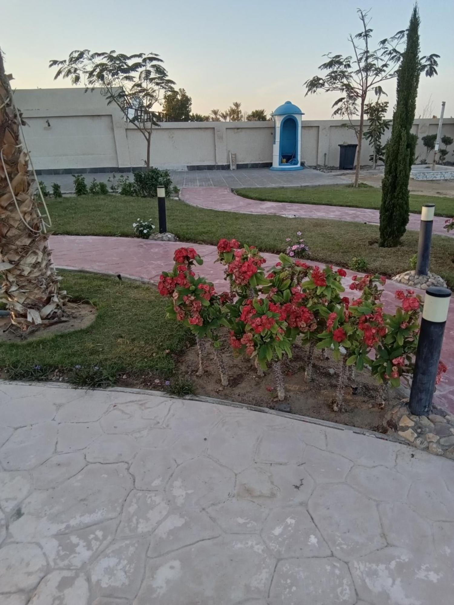 Casablanca Beach For Families And Couples Only Apart otel Hurgada Dış mekan fotoğraf